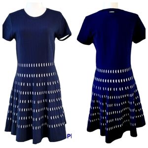 NWOT Michael Kors Women's Blue/White Knit Sweater Dress sz L